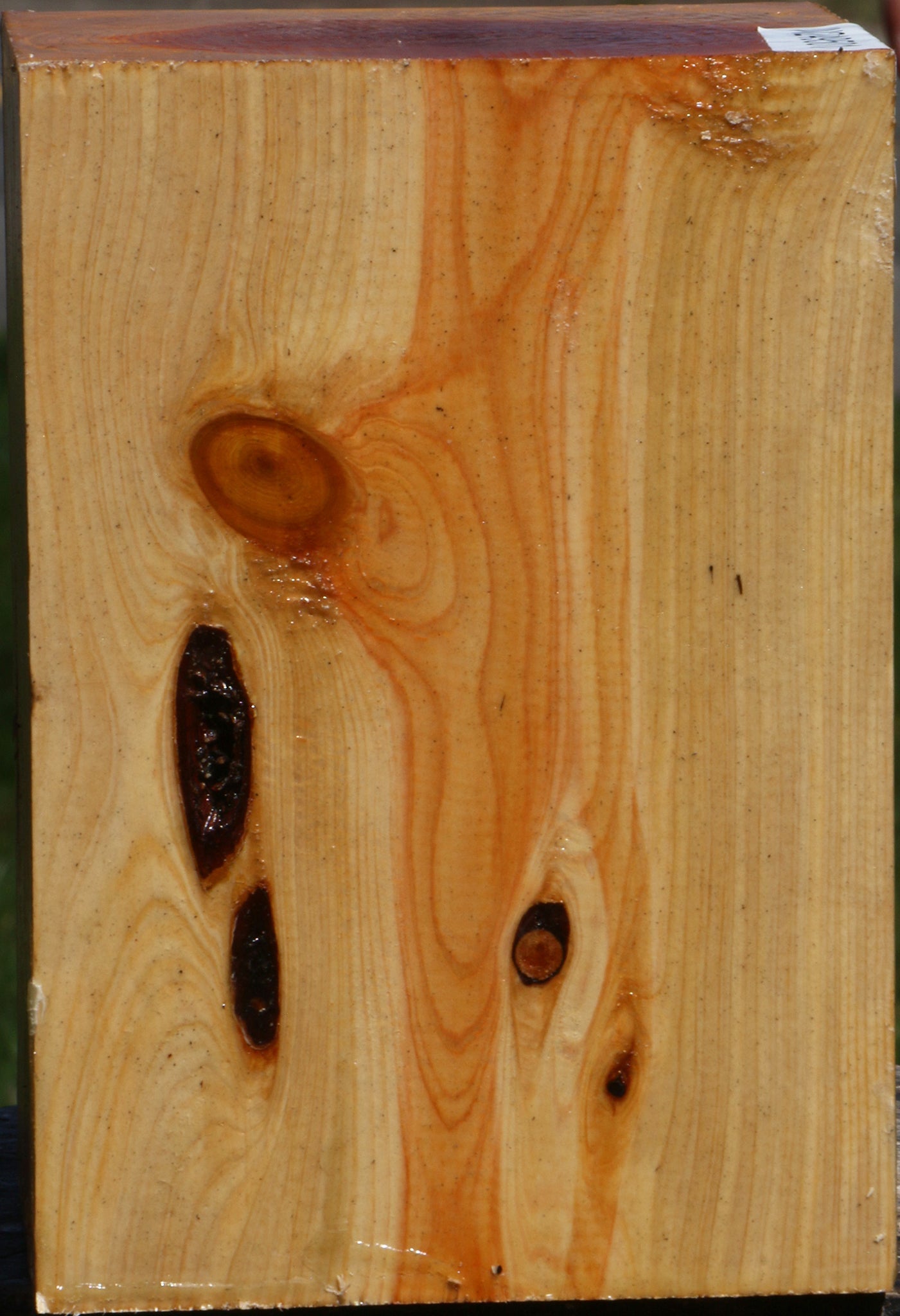 Juniper Turning Square