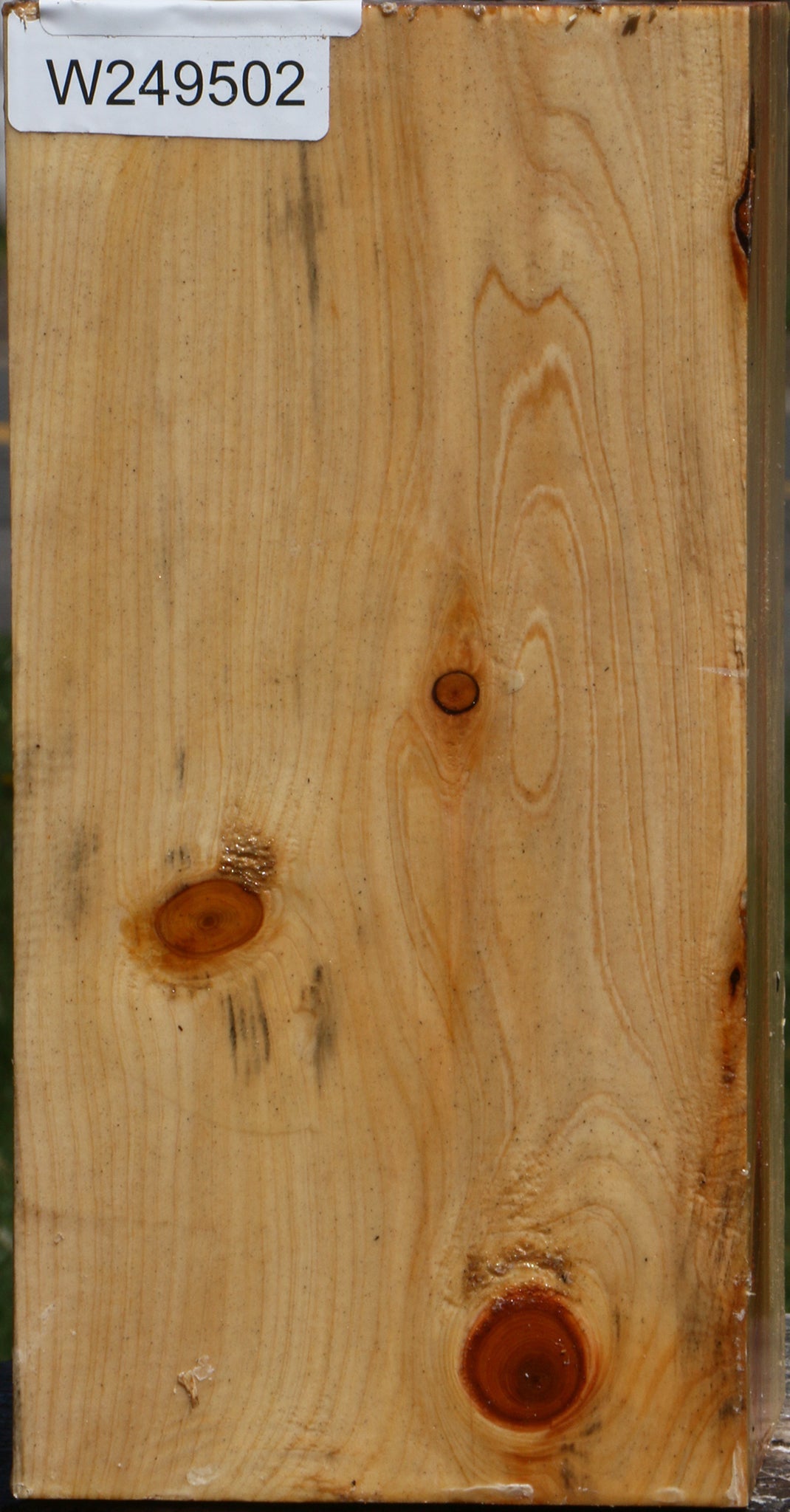Juniper Vessel Blank