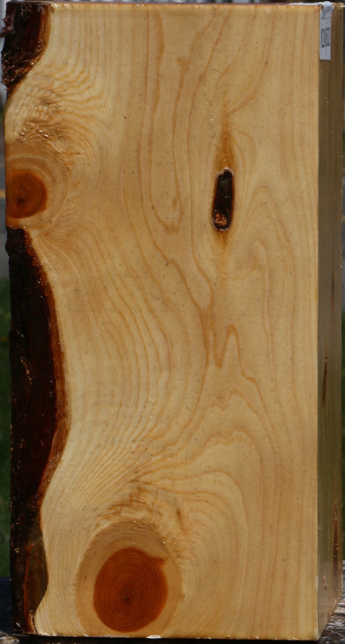 Juniper Vessel Blank