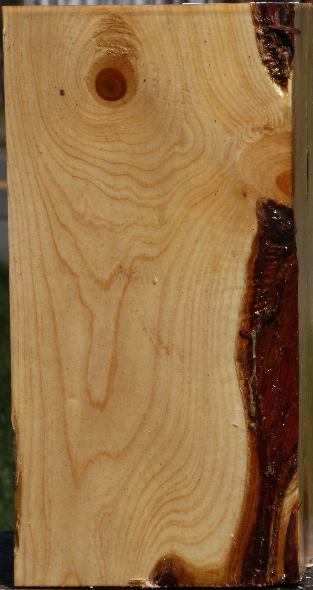 Juniper Vessel Blank