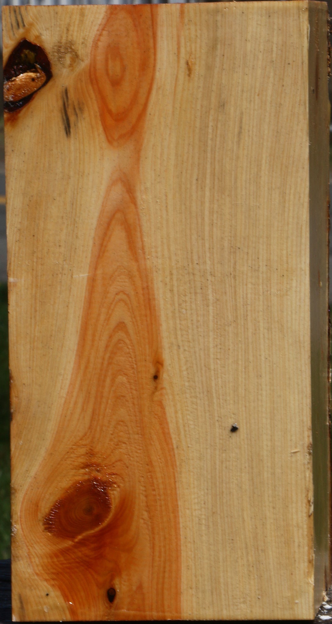 Juniper Vessel Blank