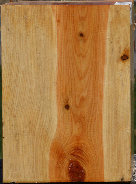 Juniper Live Edge Turning Square