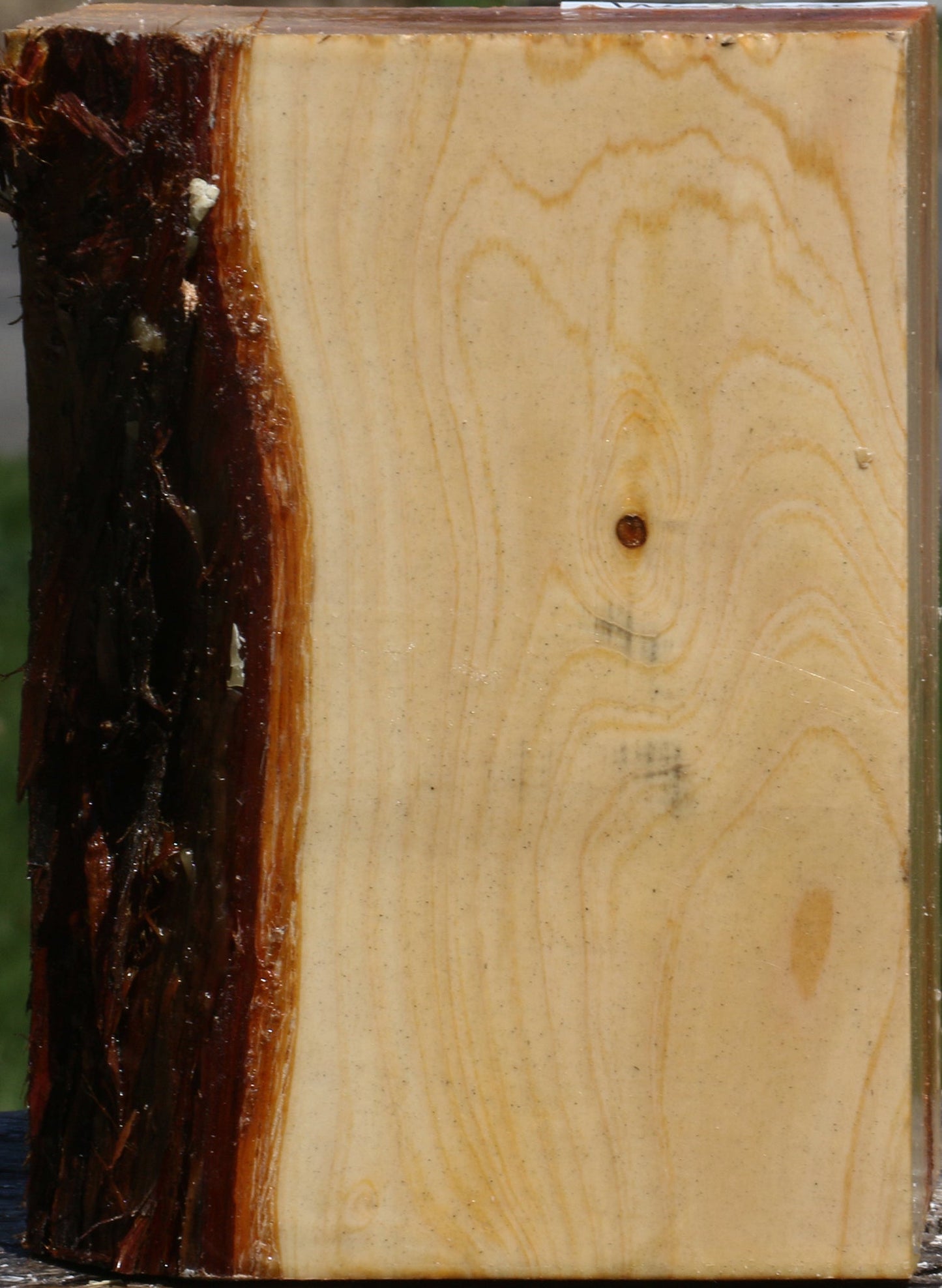 Juniper Live Edge Turning Square