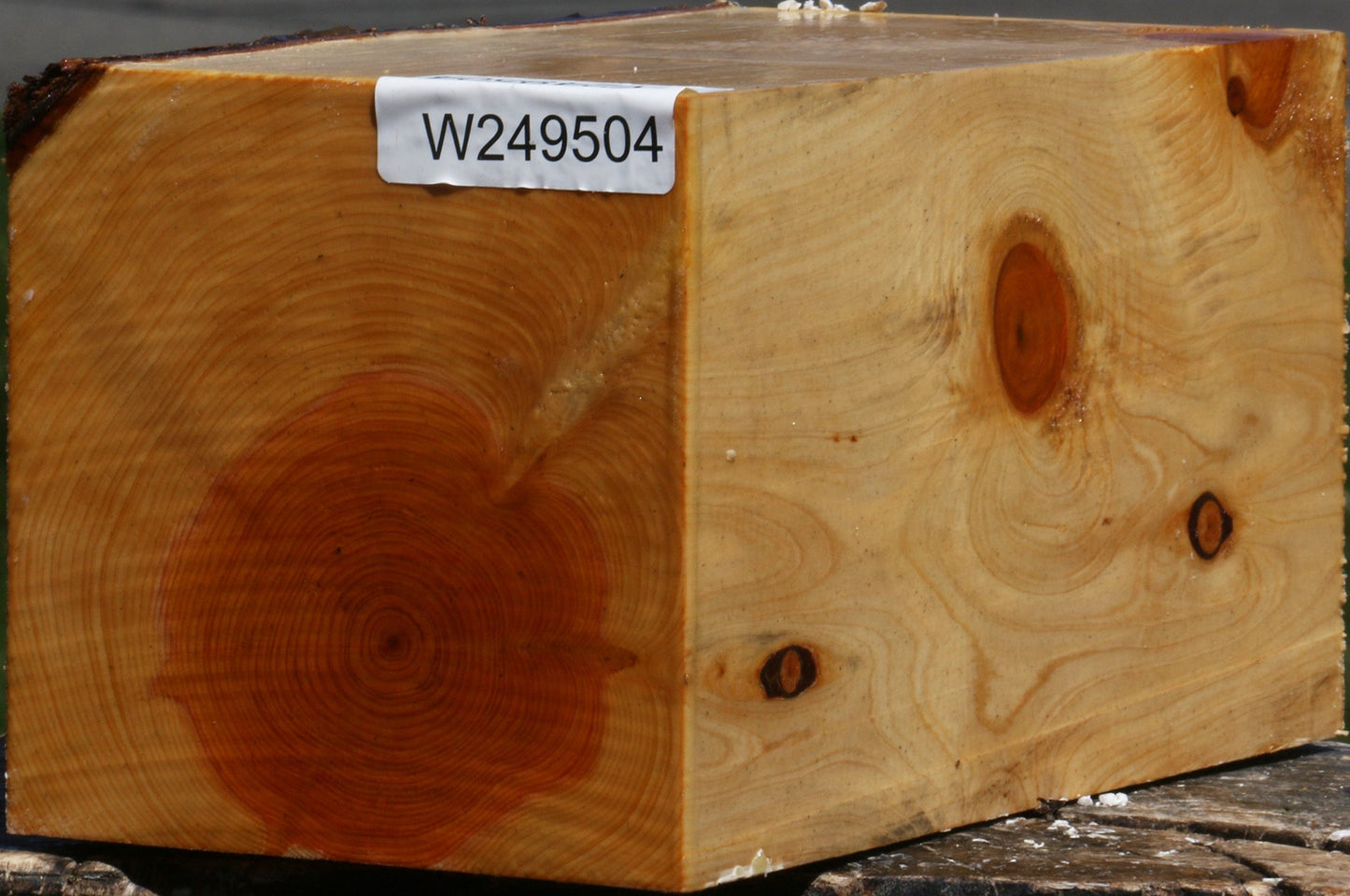 Juniper Vessel Blank