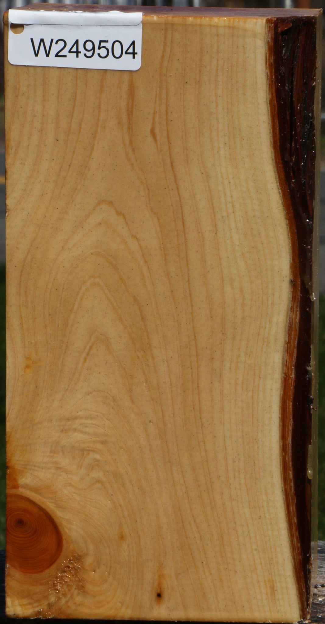Juniper Vessel Blank