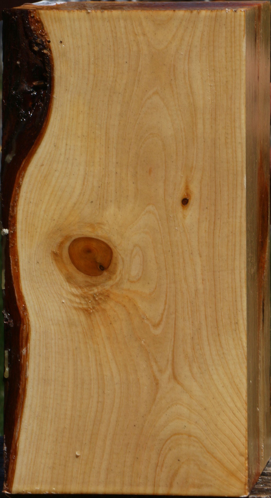 Juniper Vessel Blank