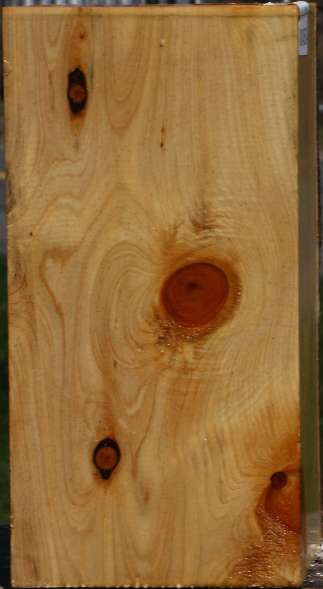 Juniper Vessel Blank