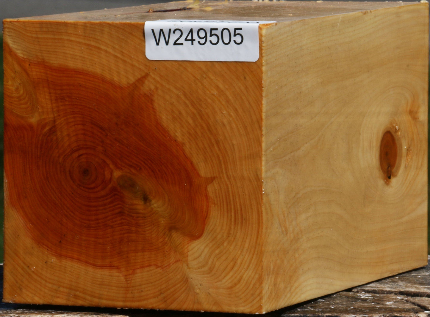 Juniper Vessel Blank
