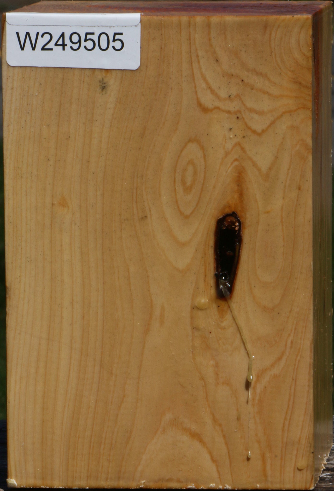 Juniper Vessel Blank