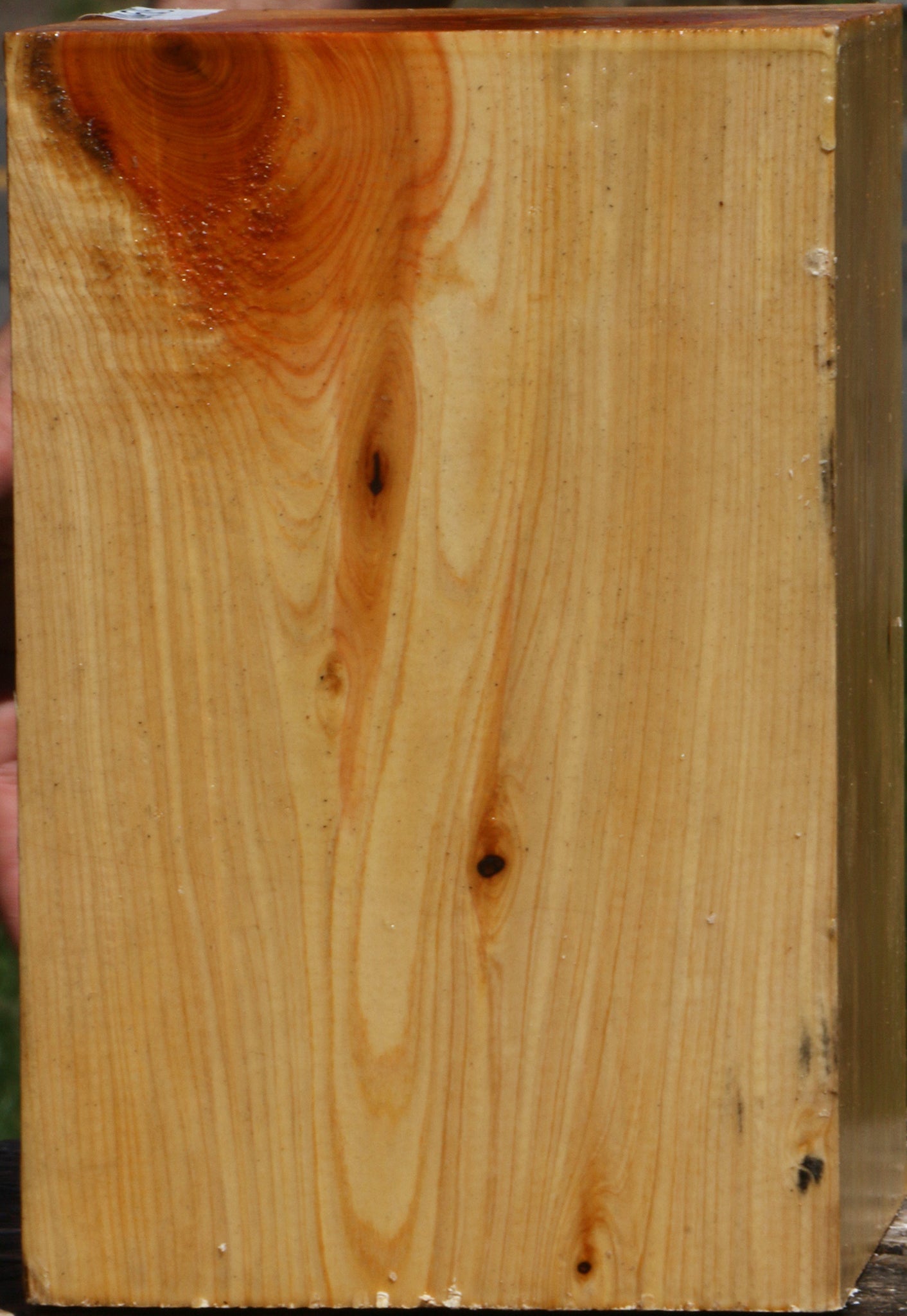 Juniper Vessel Blank