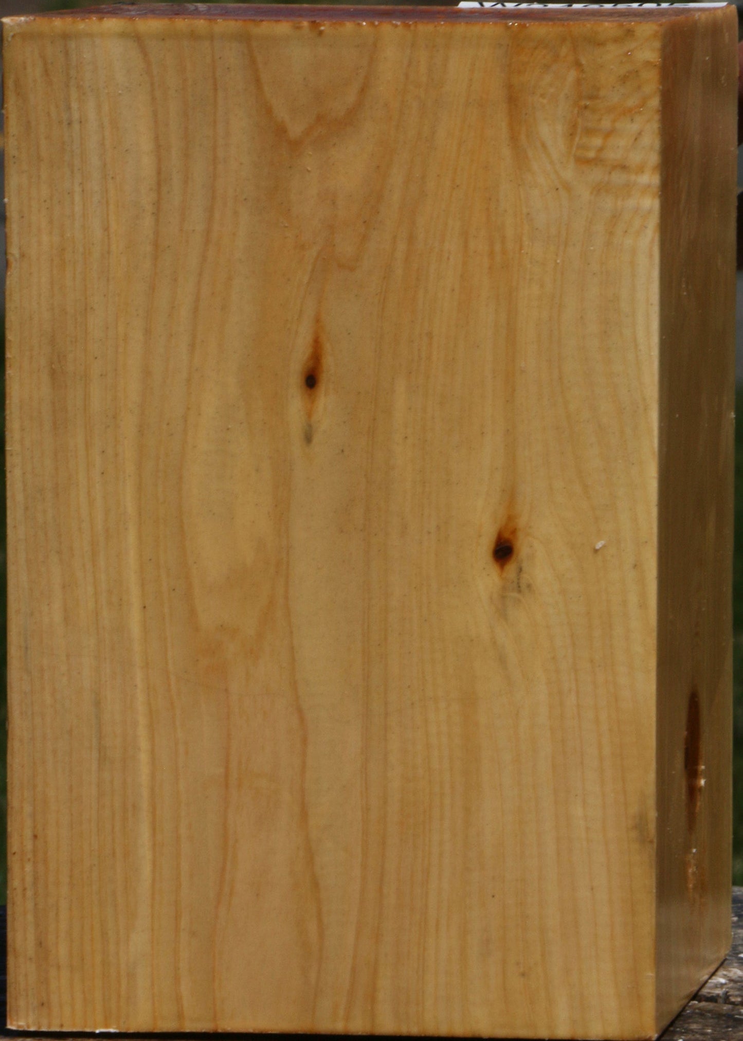 Juniper Vessel Blank