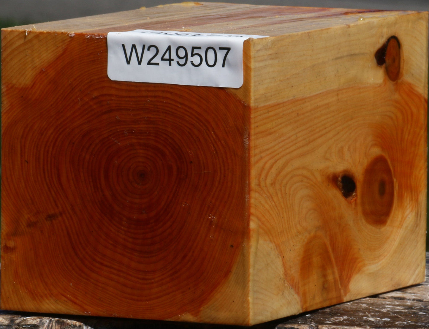 Juniper Turning Square