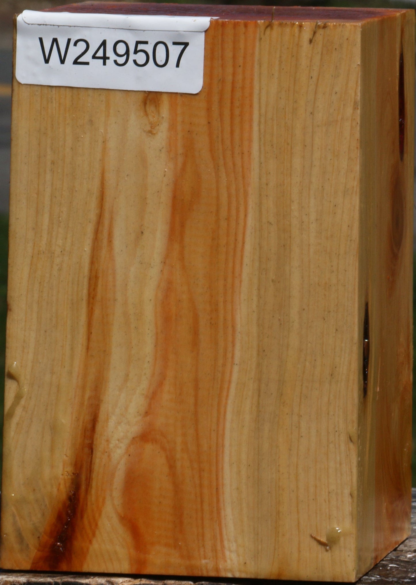 Juniper Turning Square