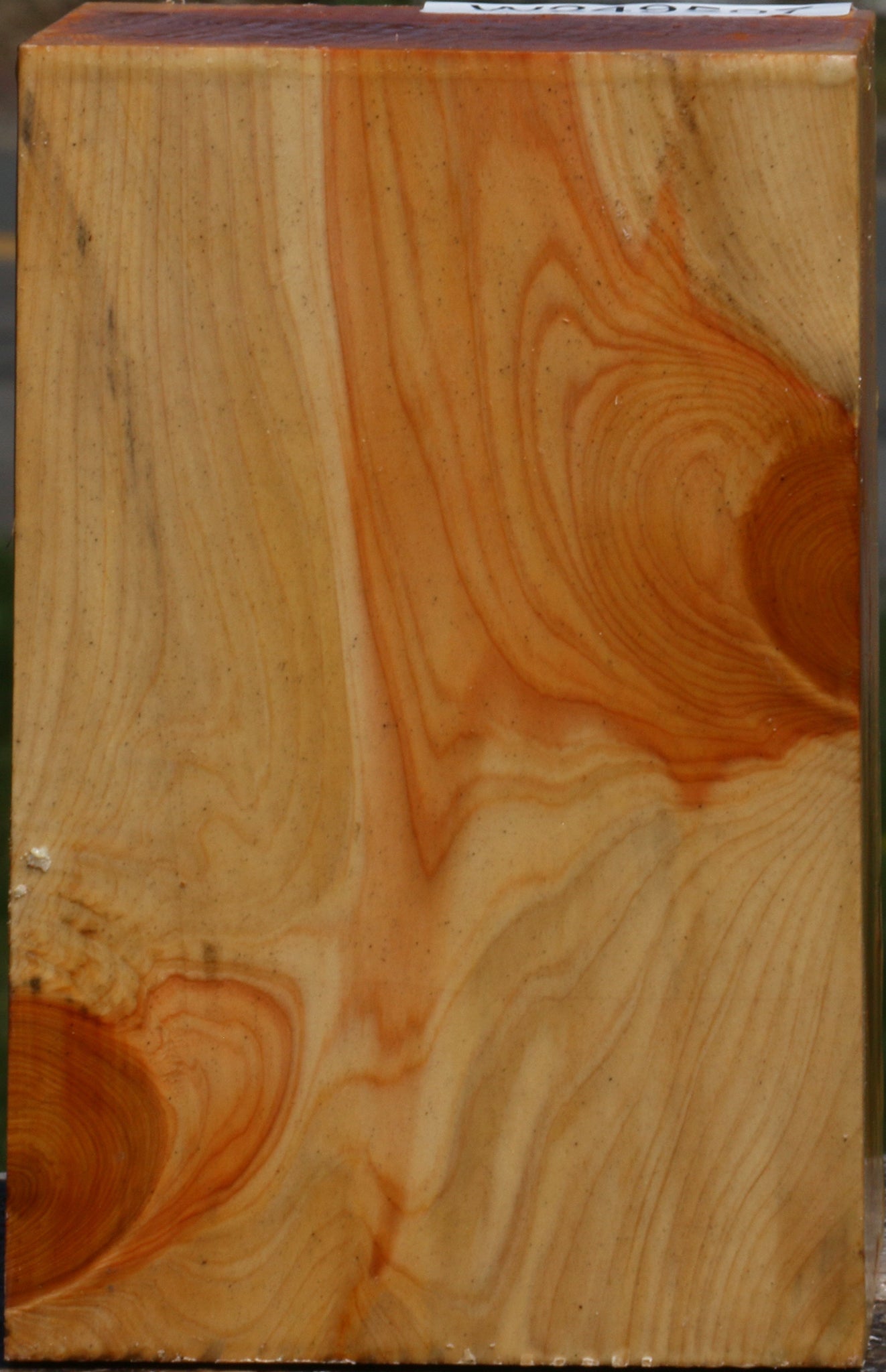 Juniper Turning Square