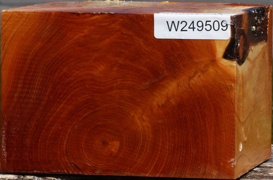 Juniper Bowl Blank