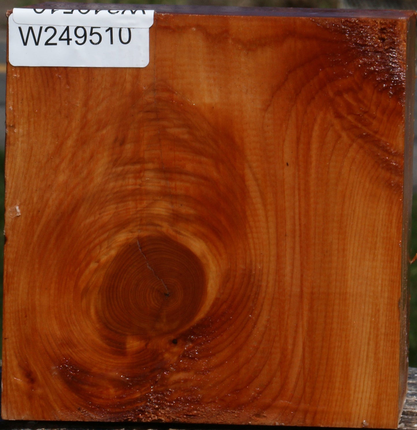Juniper Bowl Blank