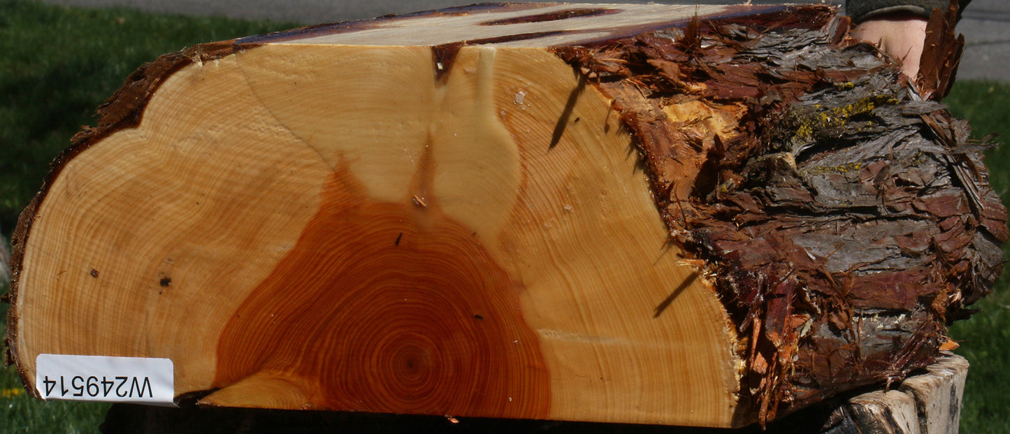 Juniper Half Log