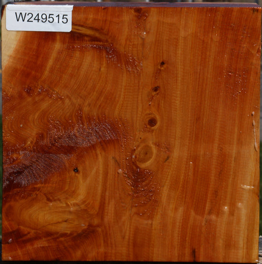 Juniper Bowl Blank