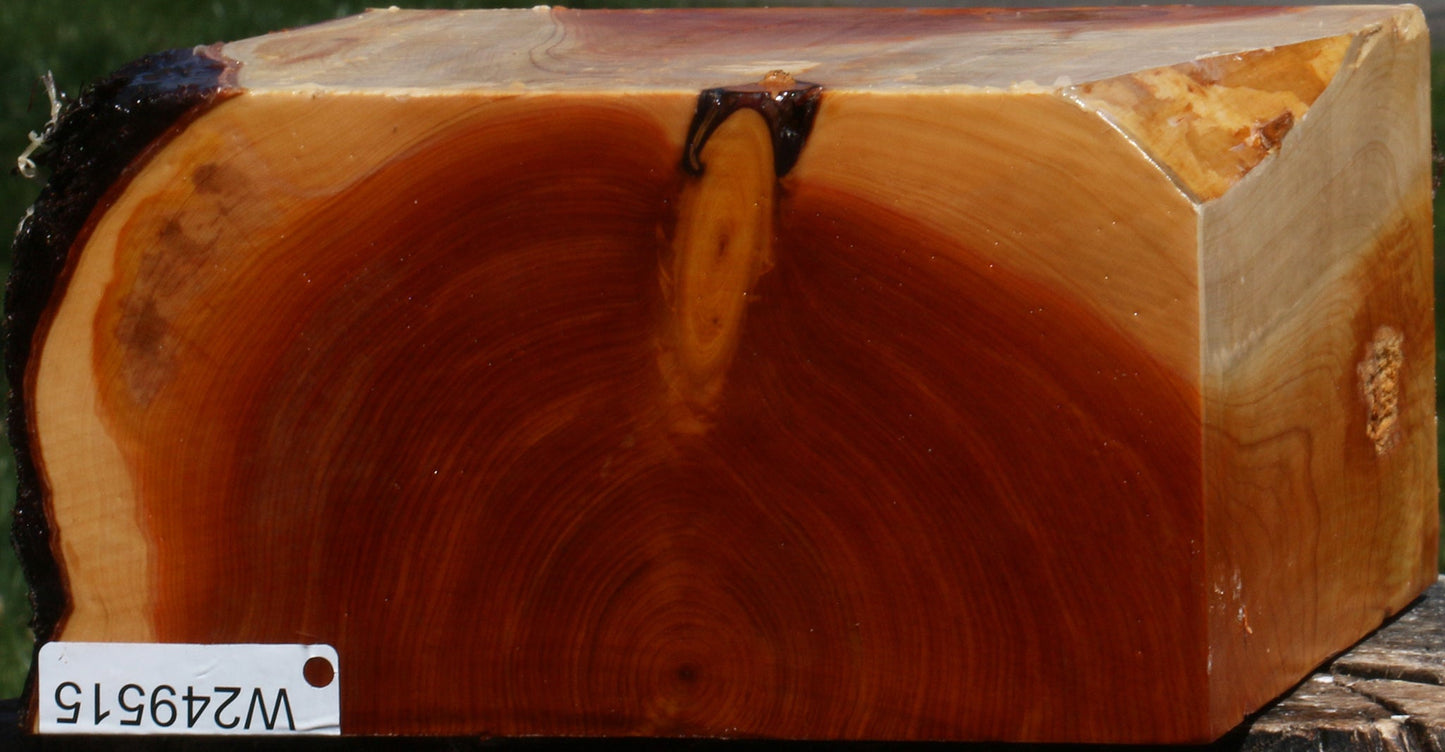Juniper Bowl Blank