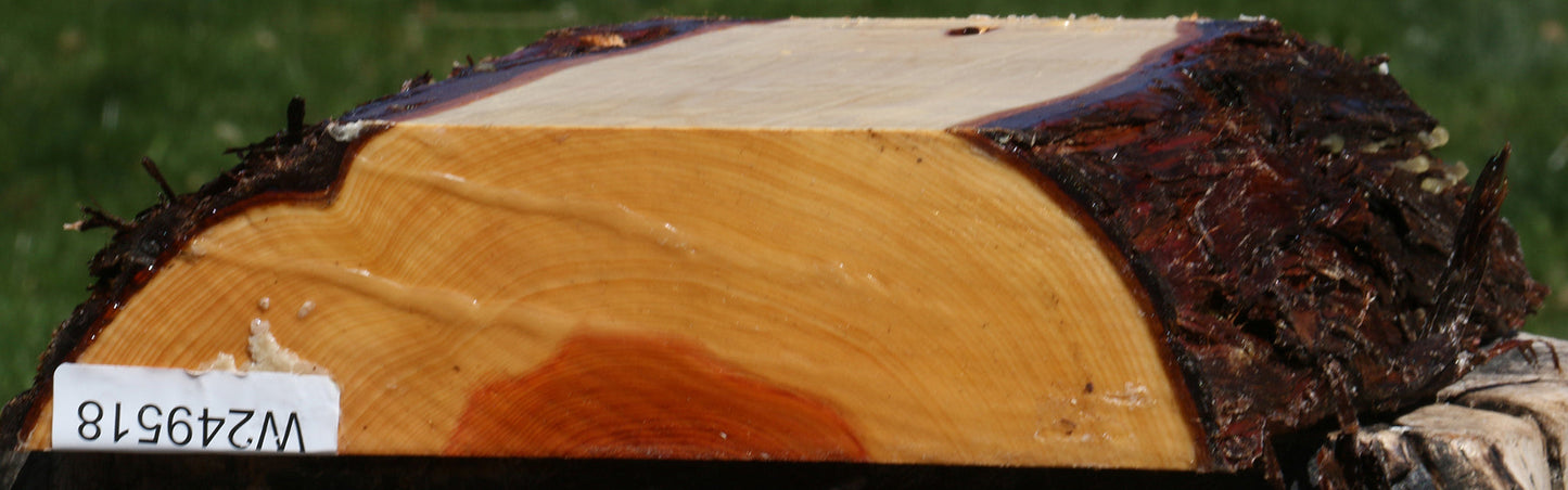 Juniper Live Edge Platter Blank