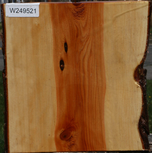 Juniper Live Edge Platter Blank