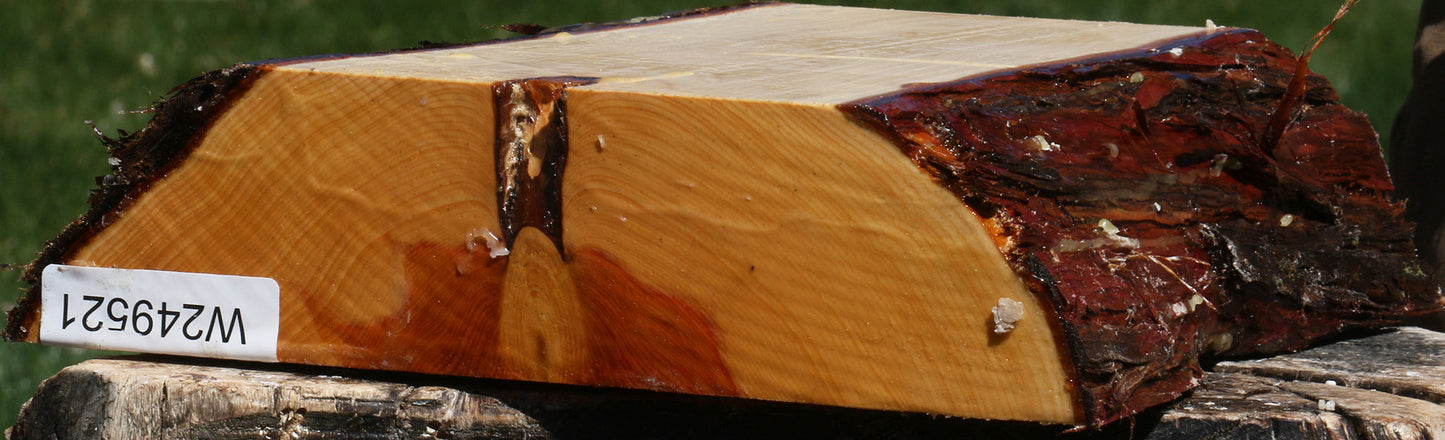 Juniper Live Edge Platter Blank