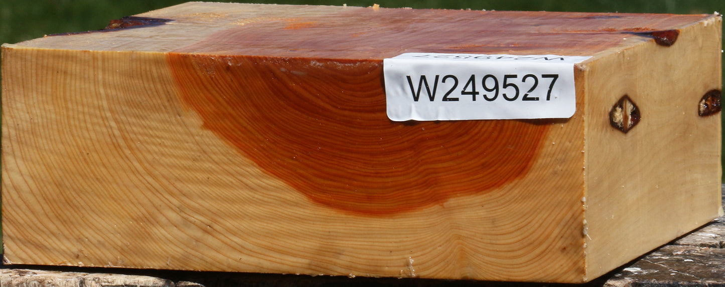 Juniper Bowl Blank