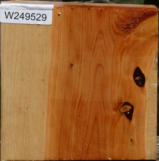 Juniper Bowl Blank