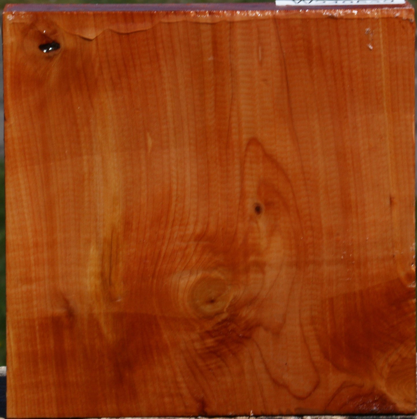 Juniper Bowl Blank