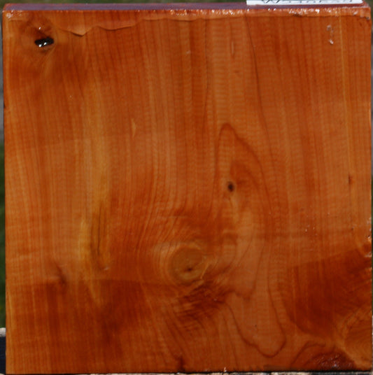 Juniper Bowl Blank