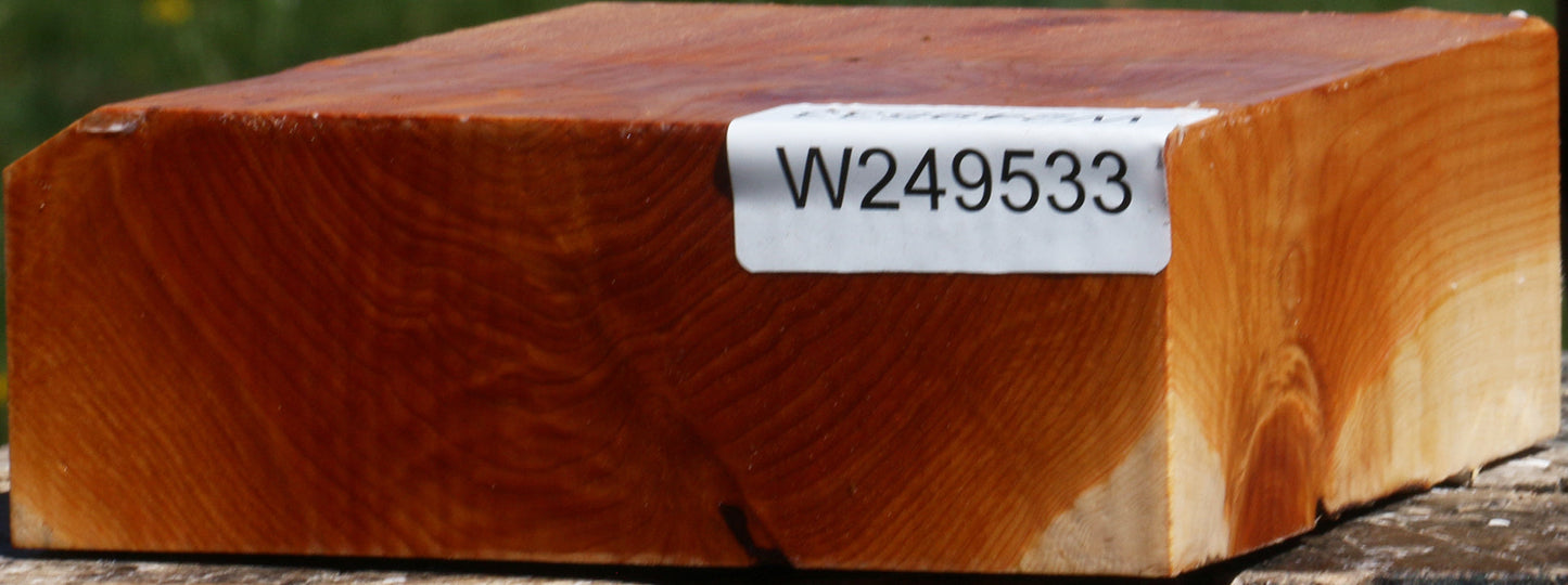 Juniper Bowl Blank