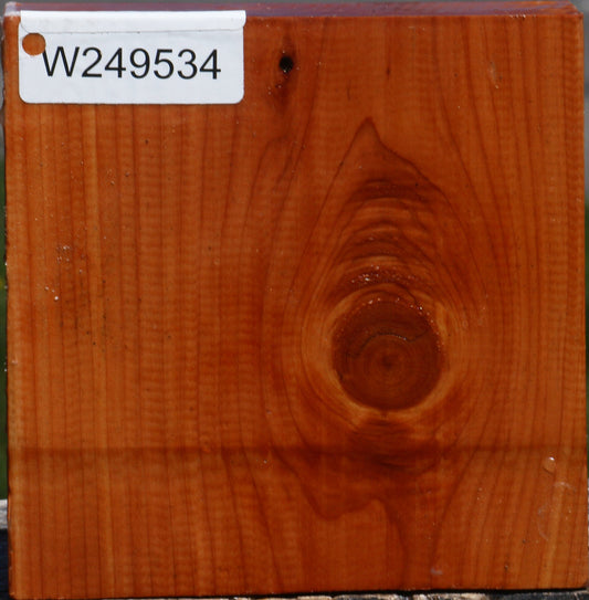 Juniper Bowl Blank