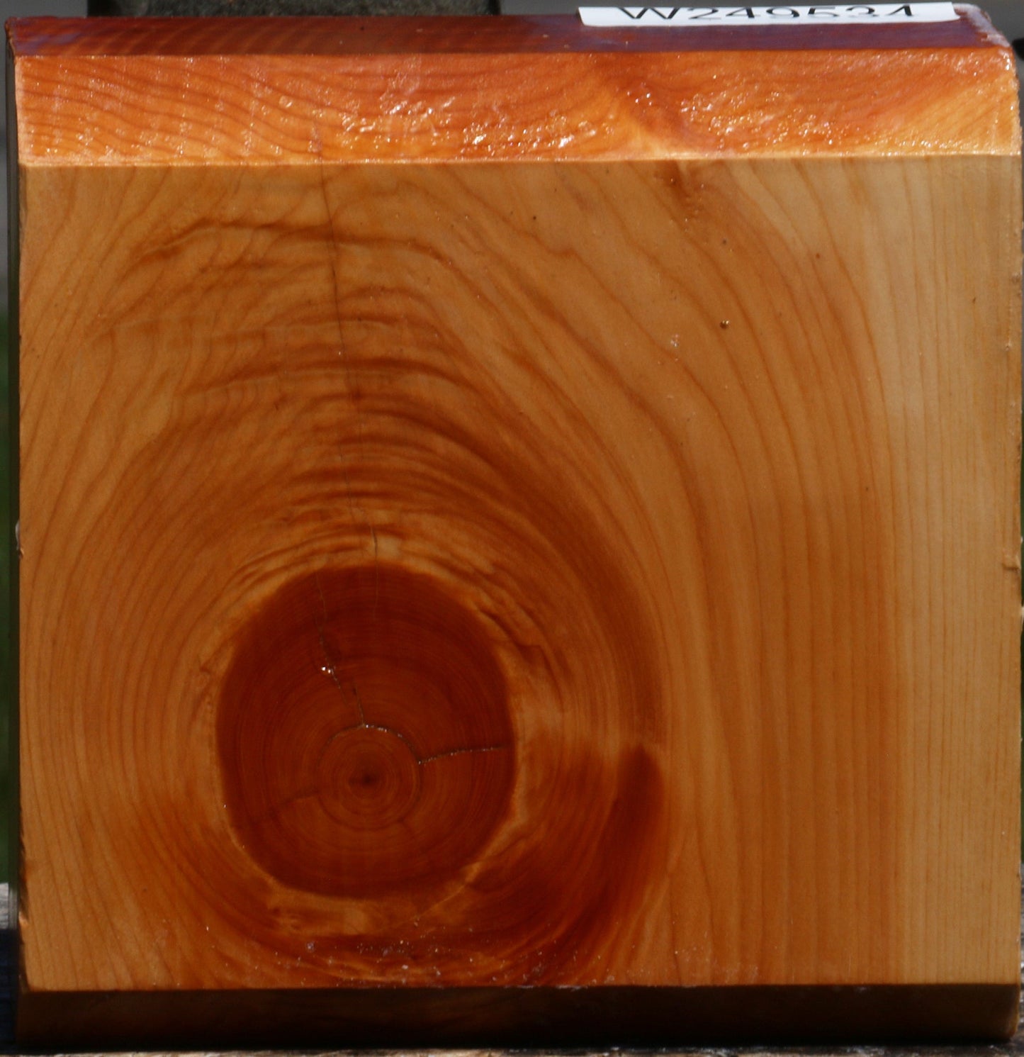 Juniper Bowl Blank