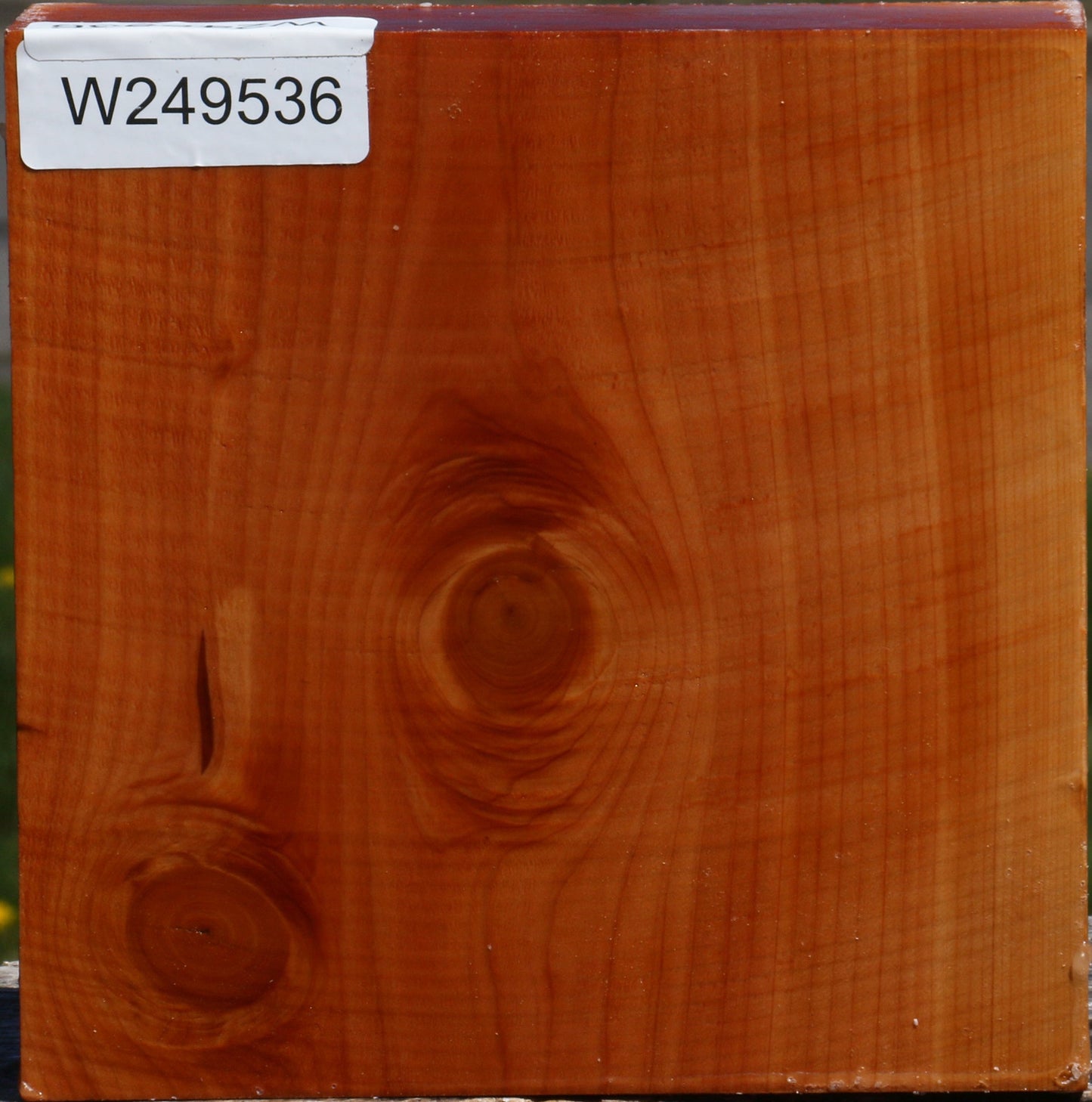 Juniper Bowl Blank