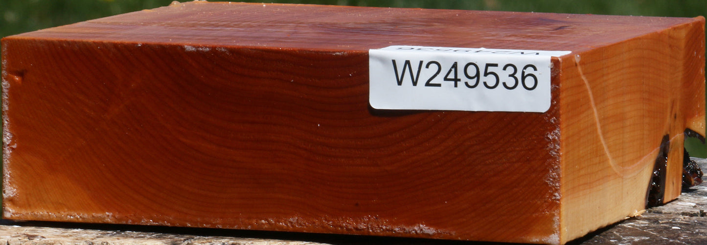 Juniper Bowl Blank