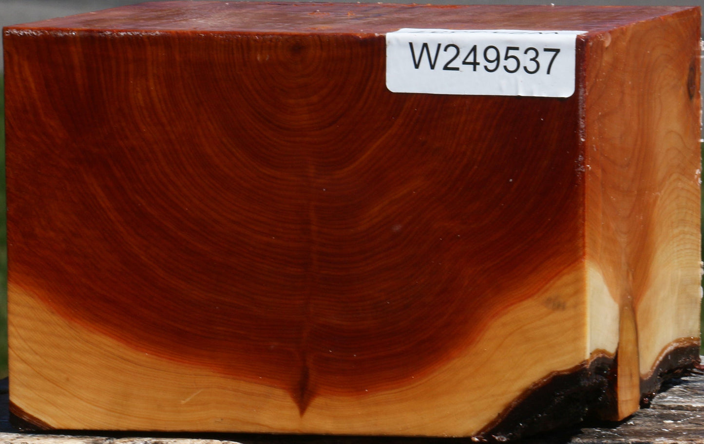 Juniper Bowl Blank
