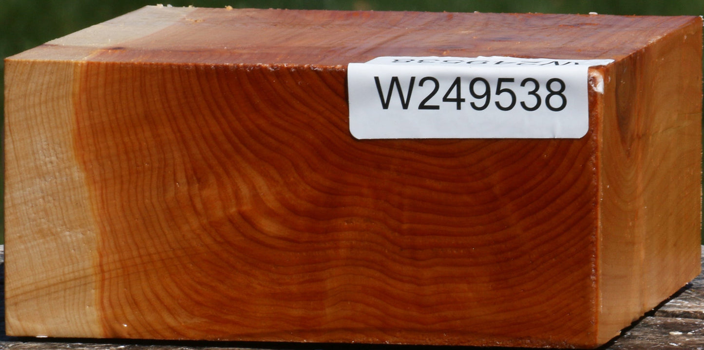 Juniper Bowl Blank