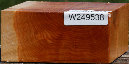 Juniper Bowl Blank