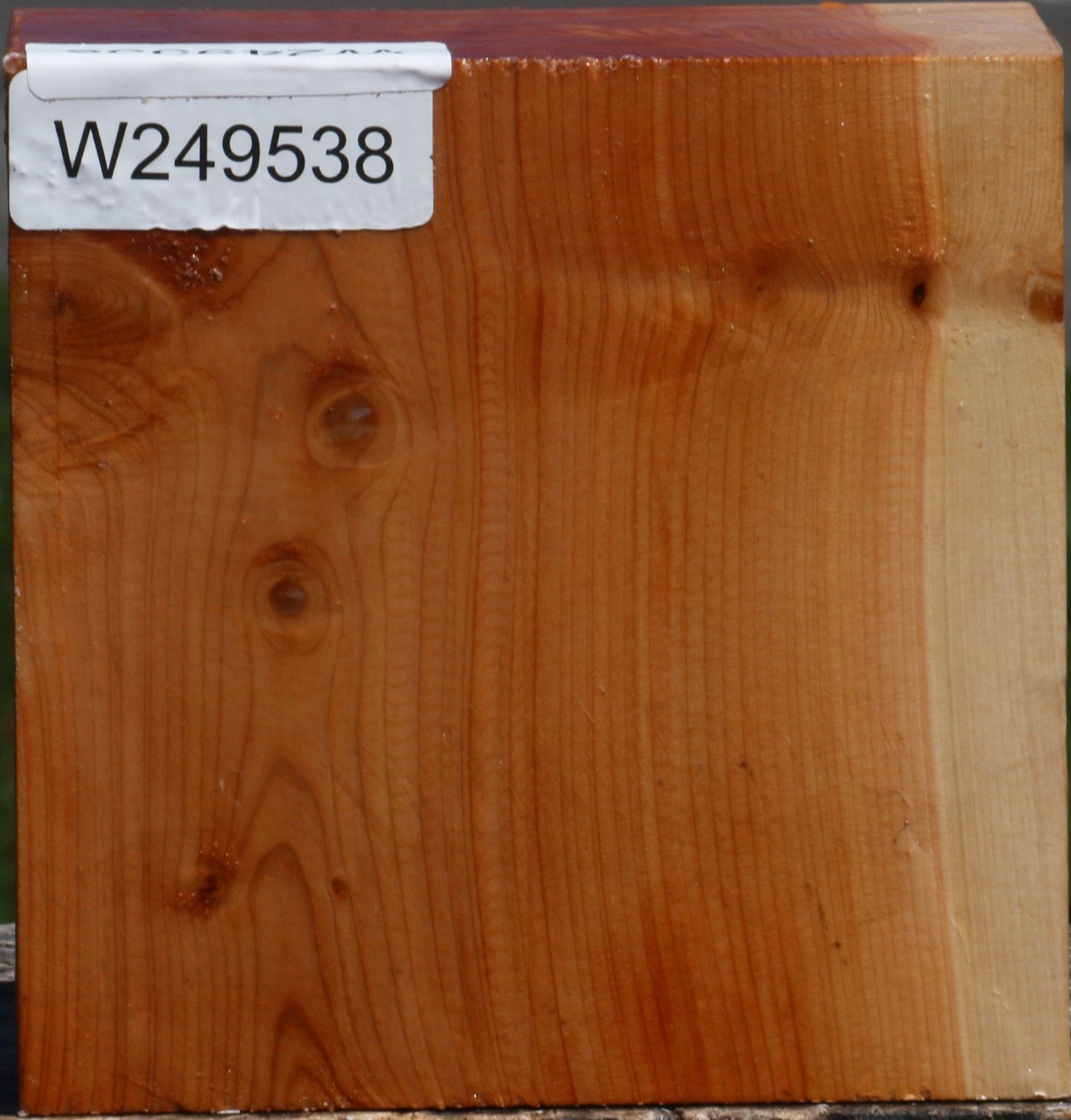 Juniper Bowl Blank