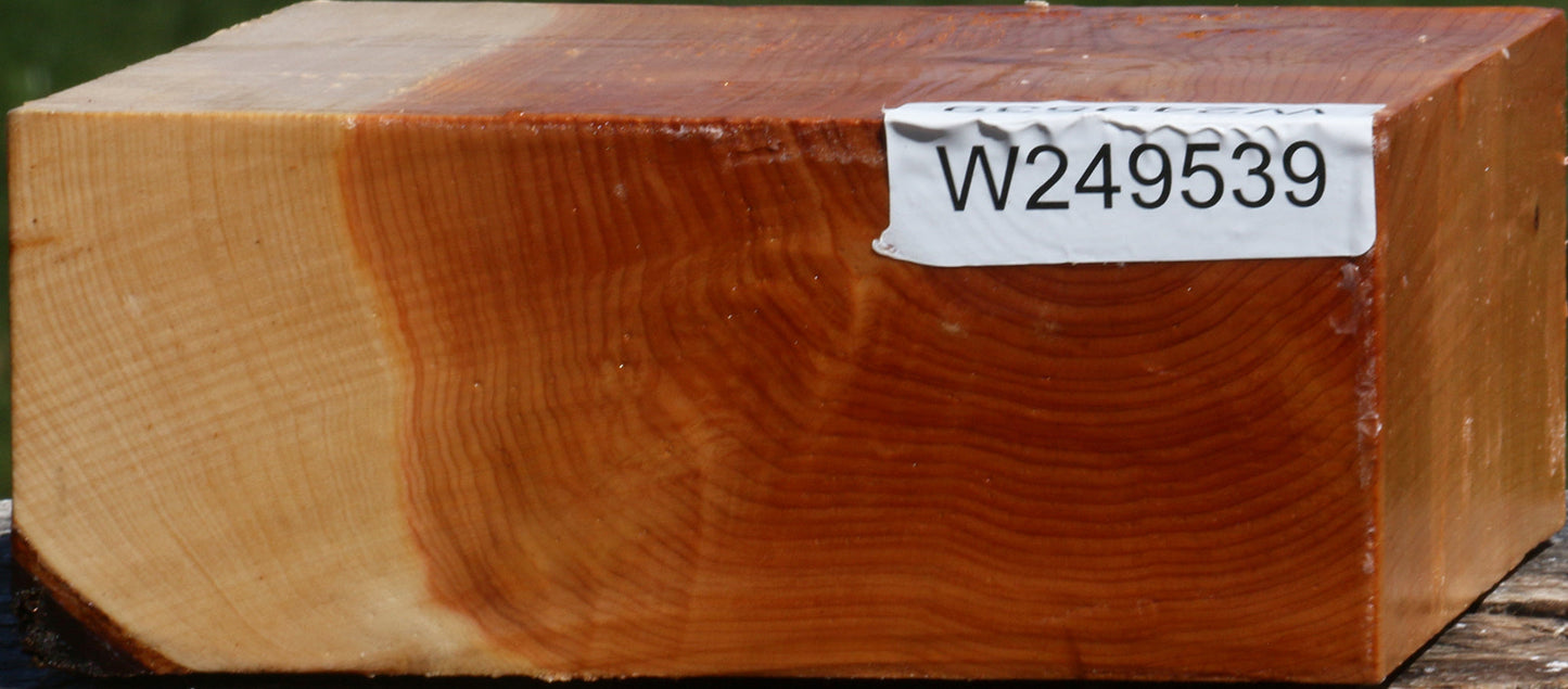 Juniper Bowl Blank