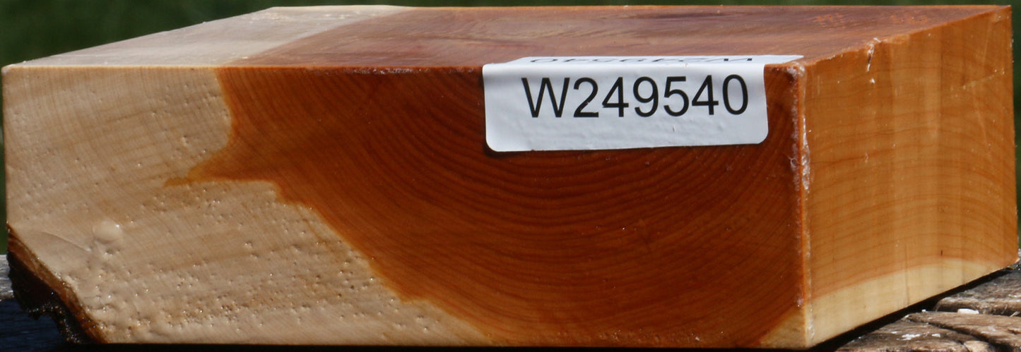 Juniper Bowl Blank
