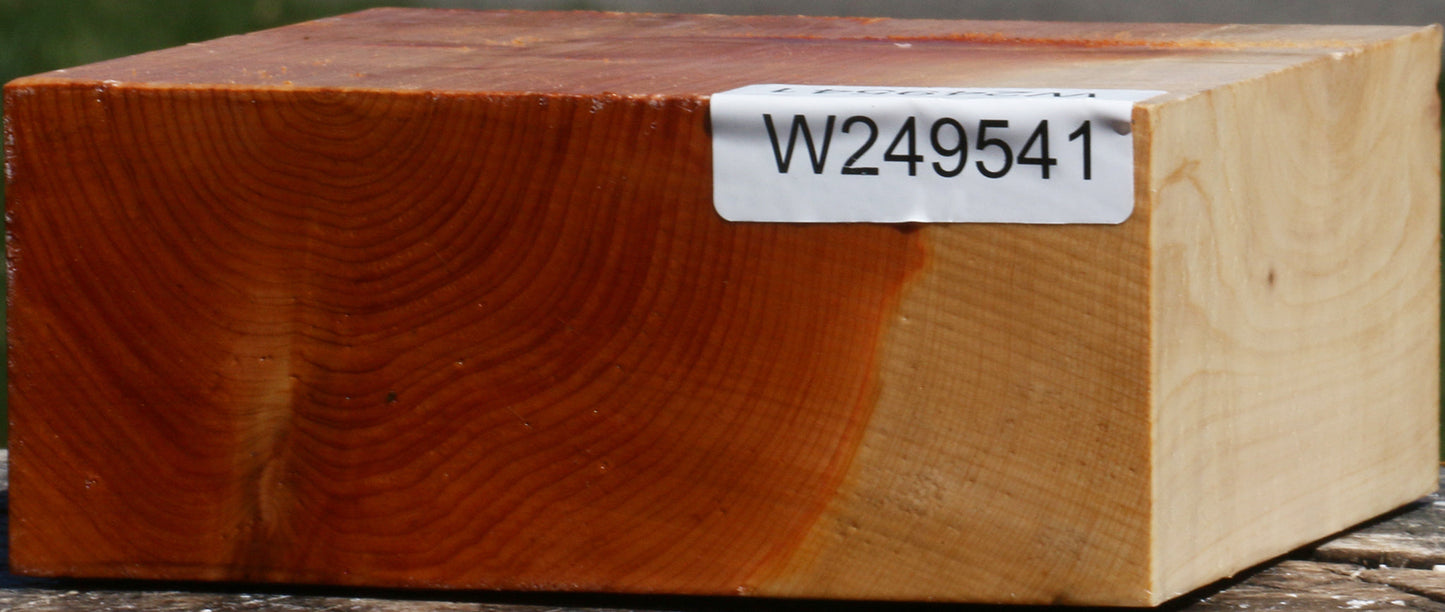 Juniper Bowl Blank