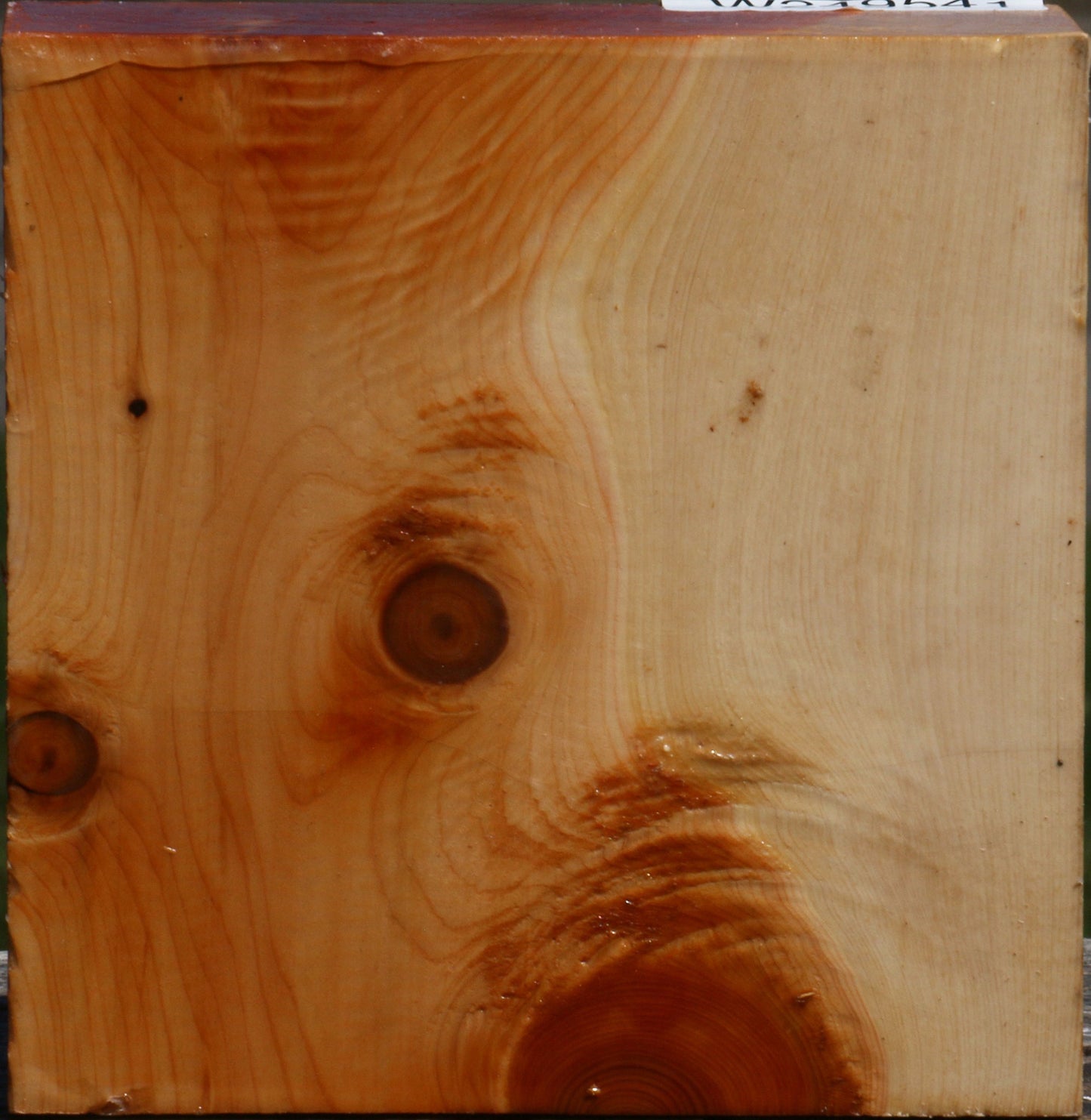 Juniper Bowl Blank