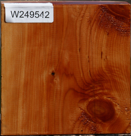 Juniper Bowl Blank