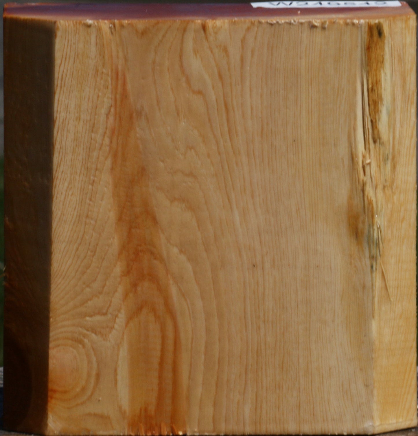 Juniper Bowl Blank