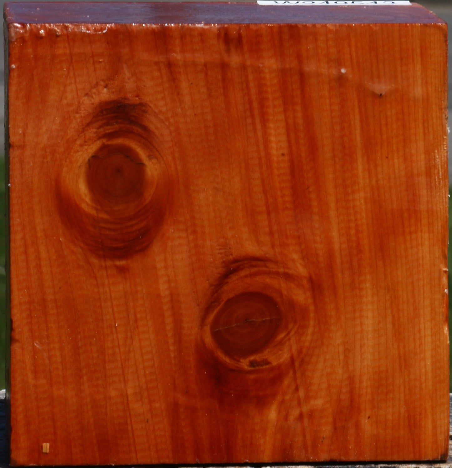 Juniper Bowl Blank