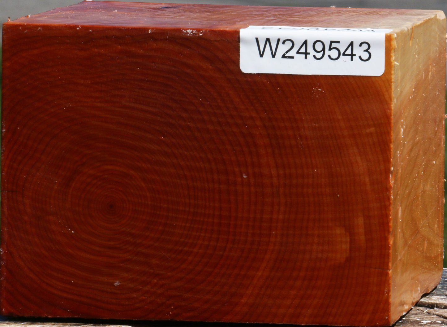 Juniper Bowl Blank