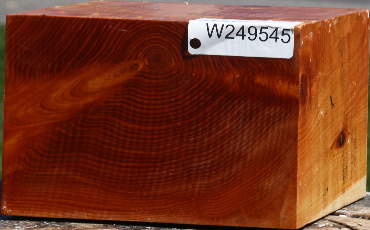 Juniper Bowl Blank