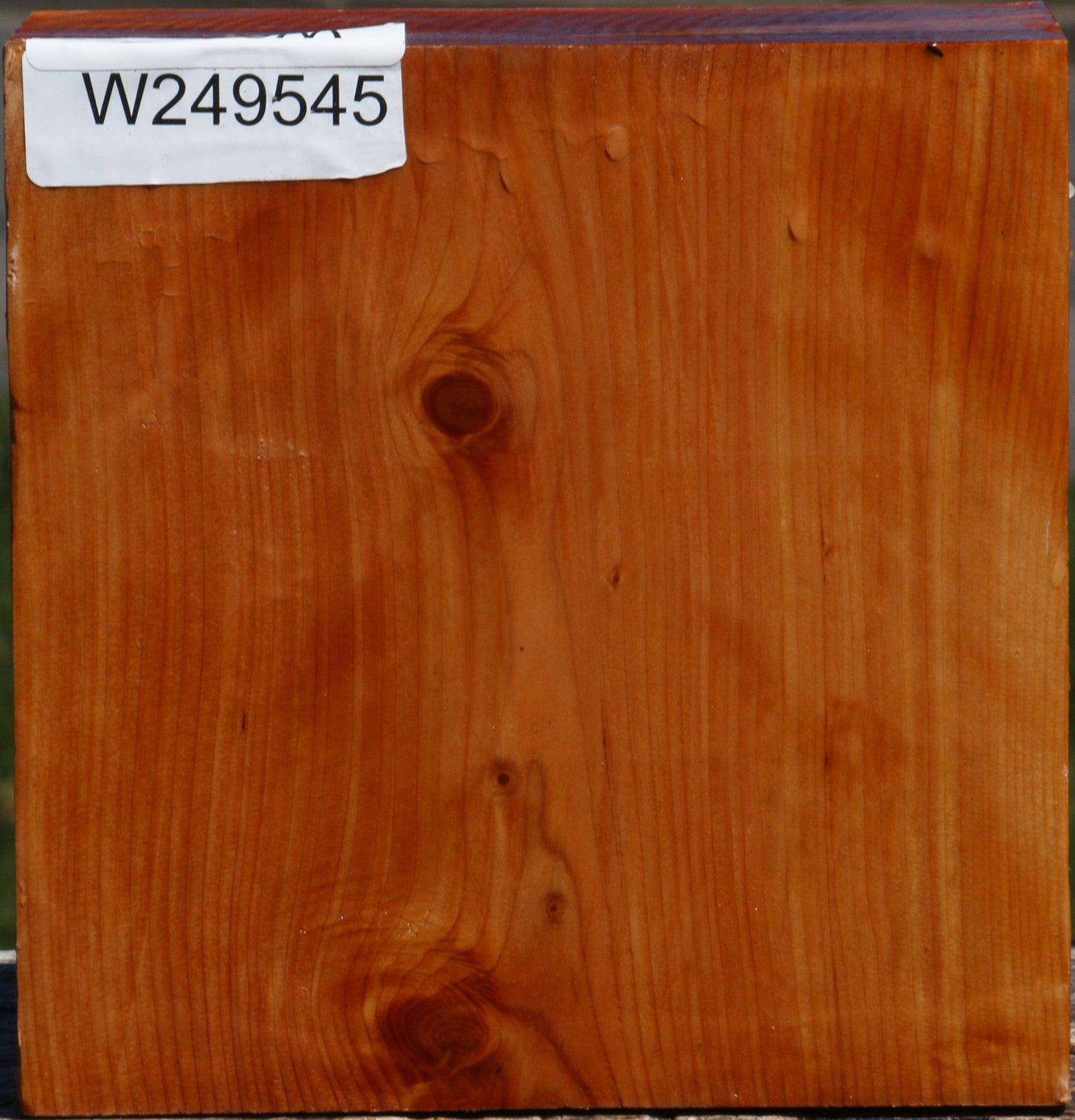 Juniper Bowl Blank