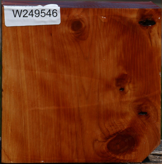 Juniper Bowl Blank